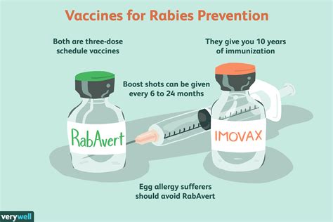 Rabies Vaccine (Intramuscular Route) Description and  .